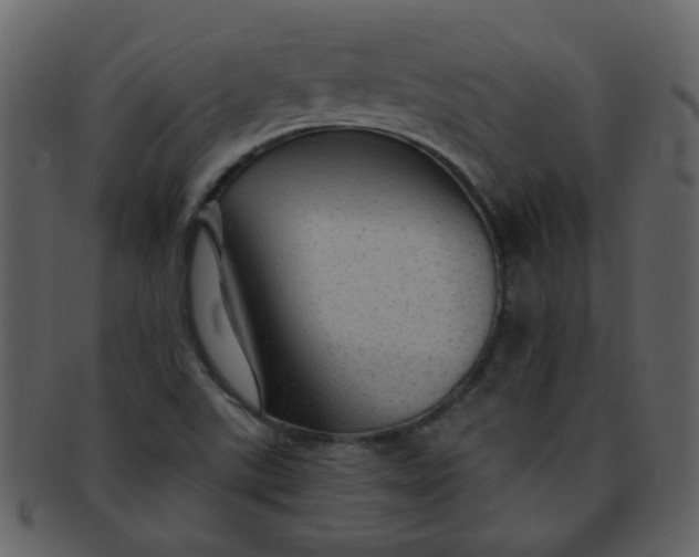 X0000093141507200710171318