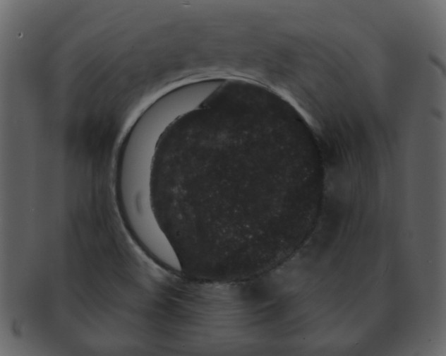 X0000093141508200710171318