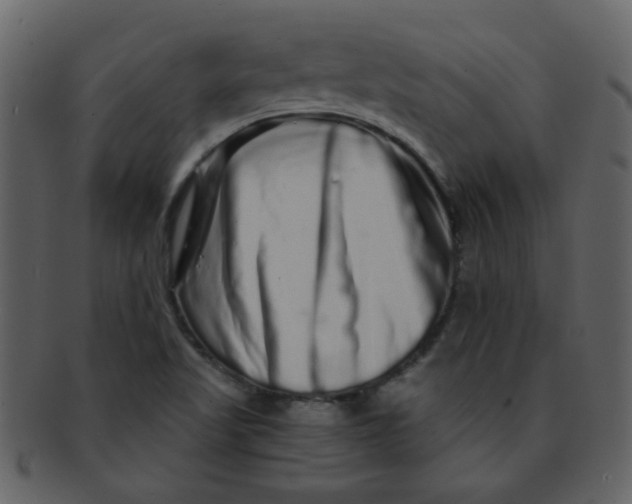 X0000093141509200710171318