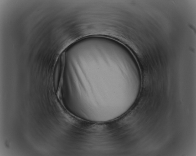 X0000093141513200710171318