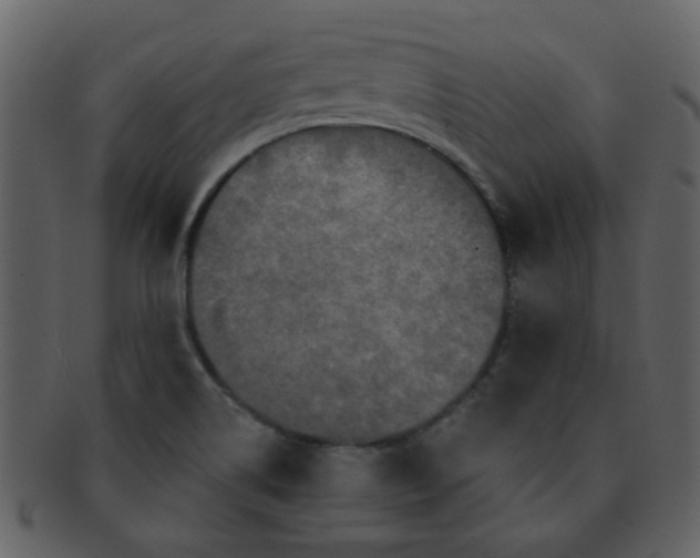 X0000093141514200710171318