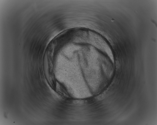 X0000093141521200710171318