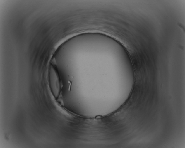 X0000093141526200710171318