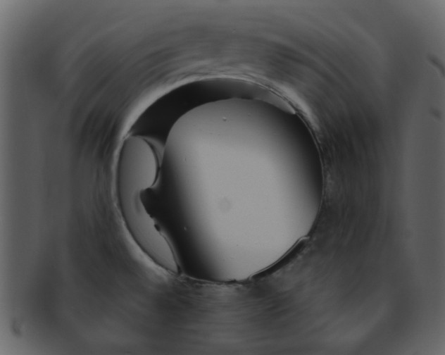 X0000093141528200710171318