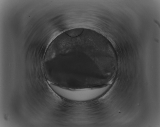 X0000093141529200710171318