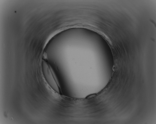 X0000093141530200710171318