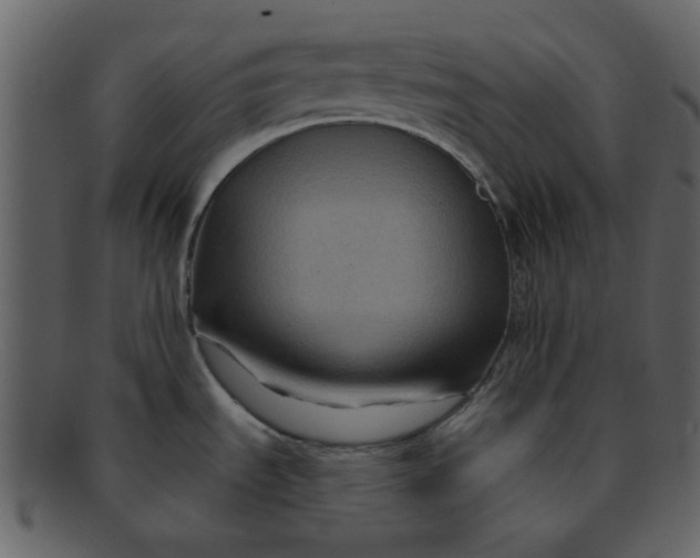 X0000093141535200710171318