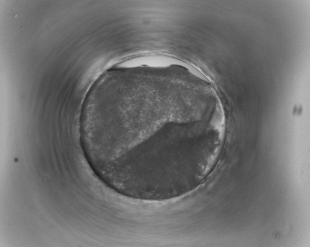 X0000093140002200710241352