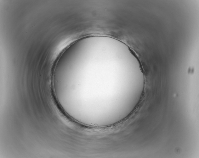 X0000093140005200710241352