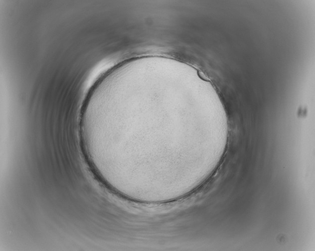 X0000093140006200710241351