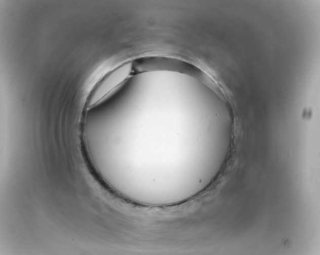 X0000093140007200710241351