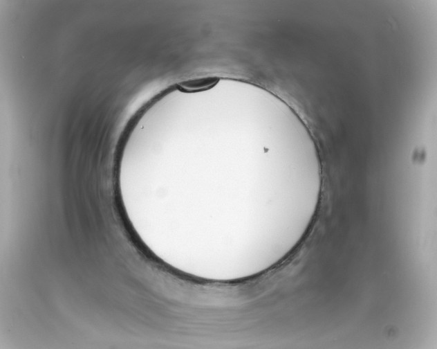 X0000093140008200710241351