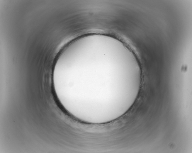 X0000093140011200710241351