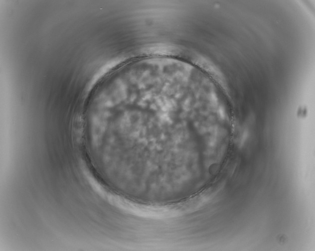 X0000093140012200710241351