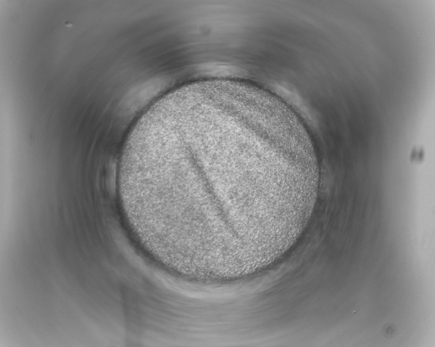 X0000093140014200710241351