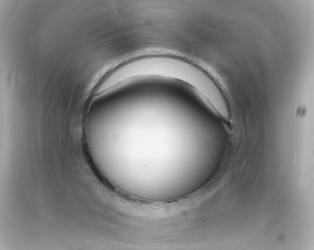 X0000093140015200710241351