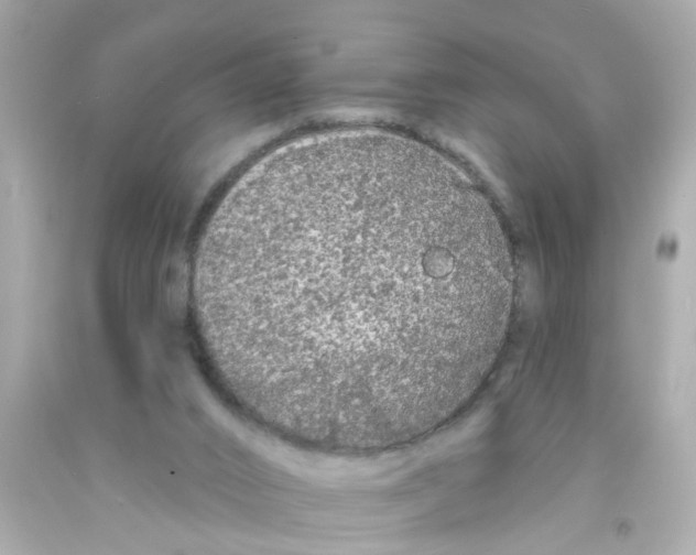 X0000093140016200710241351