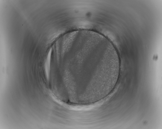 X0000093140017200710241351