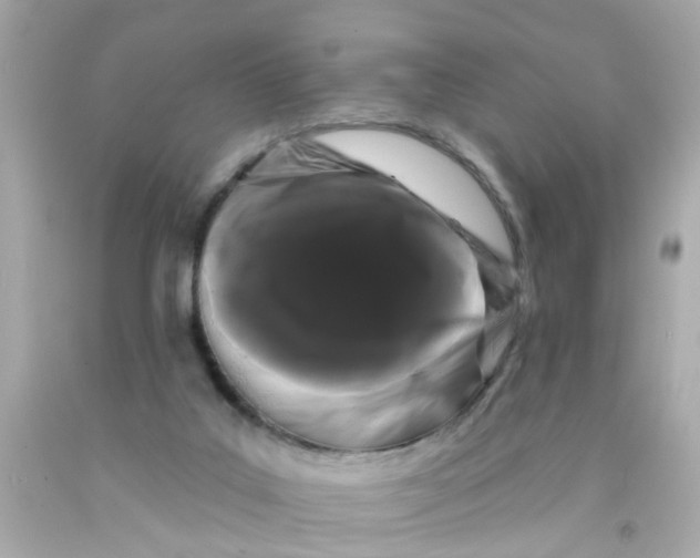 X0000093140019200710241351