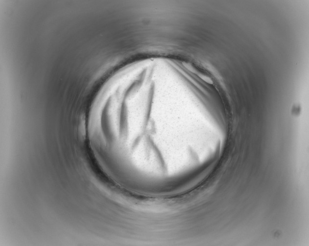 X0000093140020200710241351