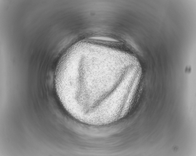 X0000093140022200710241351