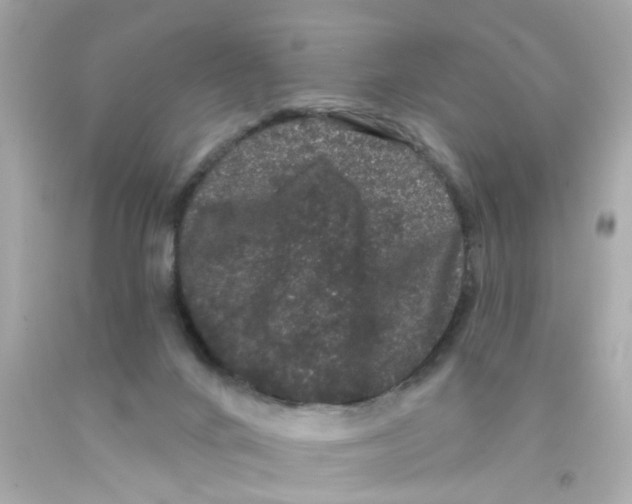 X0000093140024200710241351