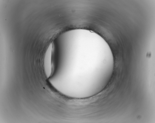 X0000093140025200710241351