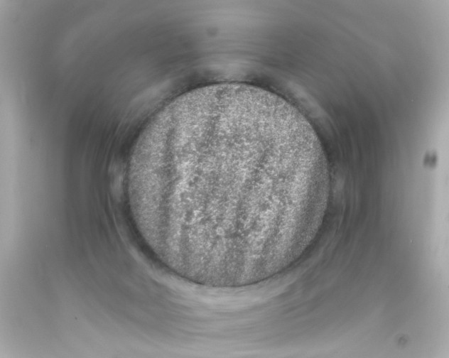 X0000093140026200710241351