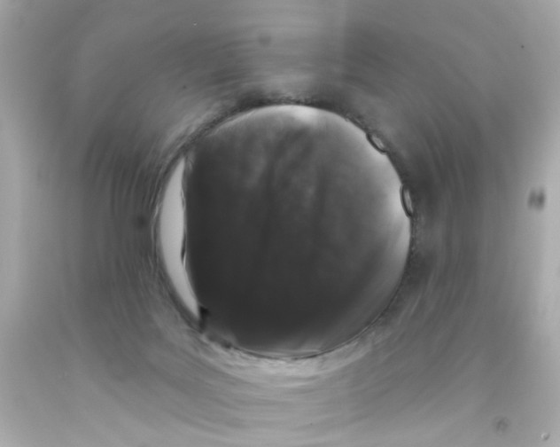 X0000093140027200710241351