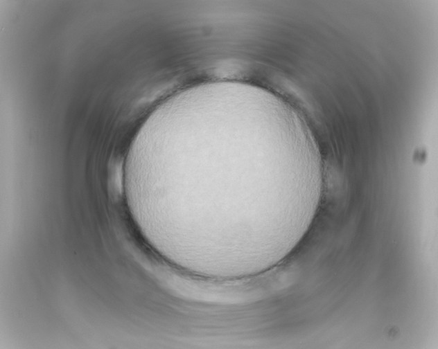 X0000093140028200710241351