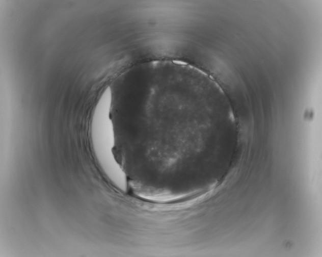 X0000093140029200710241351