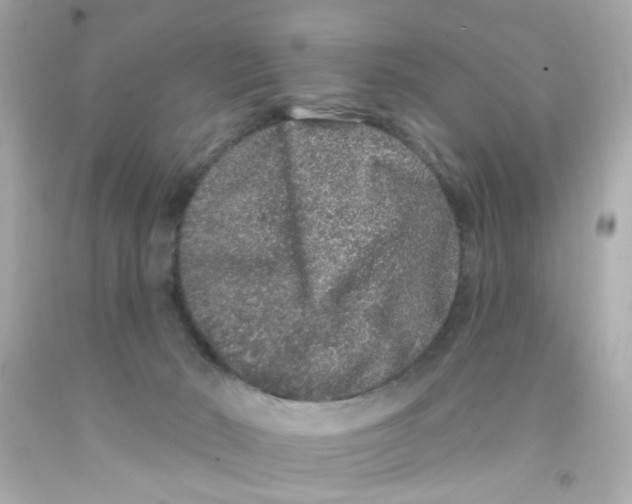 X0000093140030200710241351