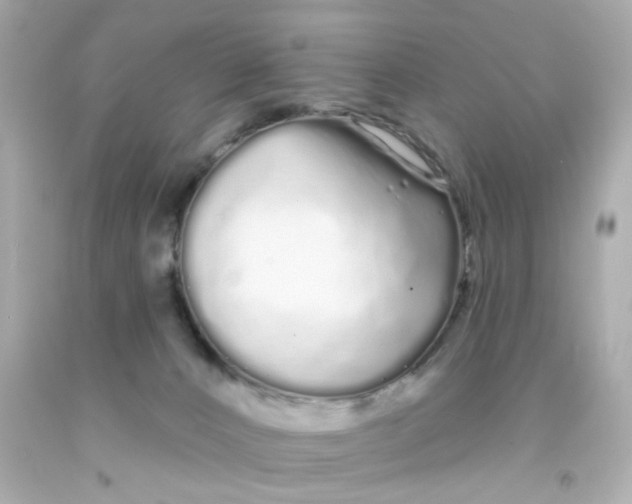 X0000093140032200710241351