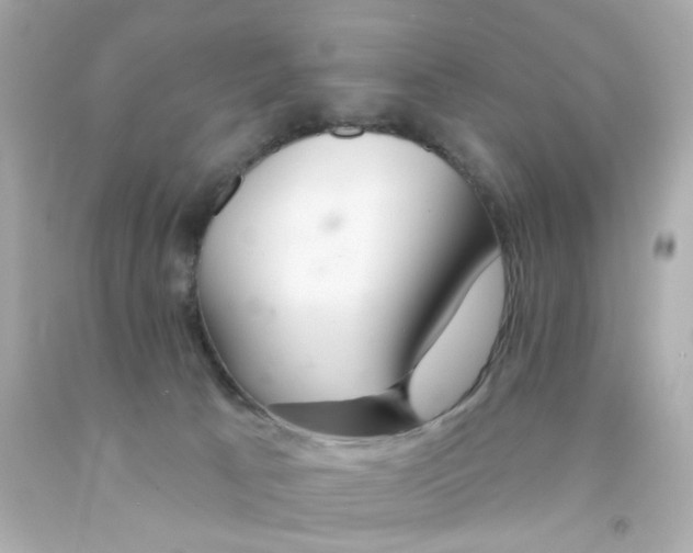 X0000093140033200710241351