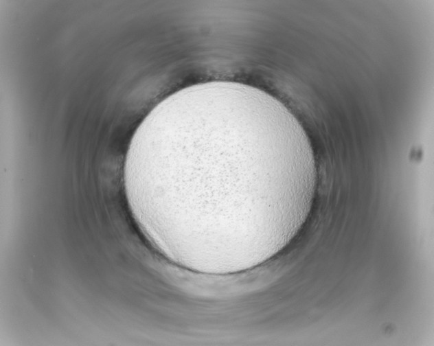 X0000093140034200710241351