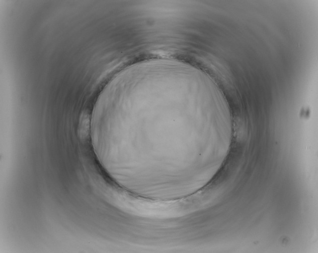 X0000093140036200710241351