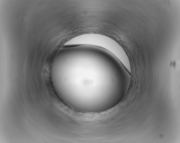 X0000093140037200710241351