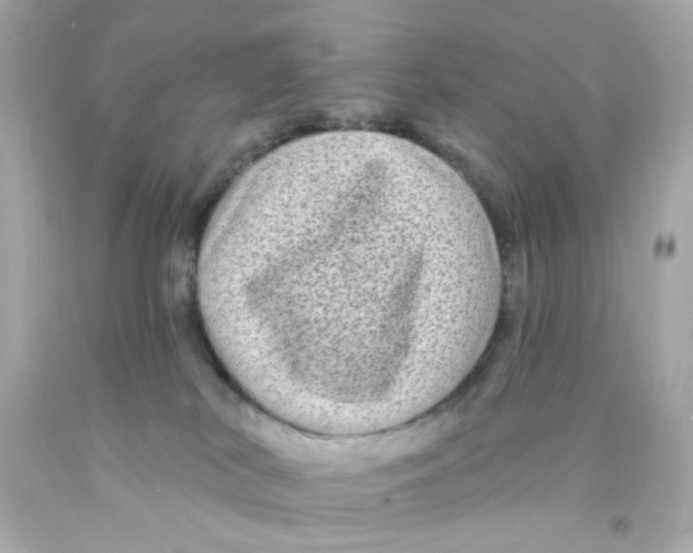 X0000093140038200710241351