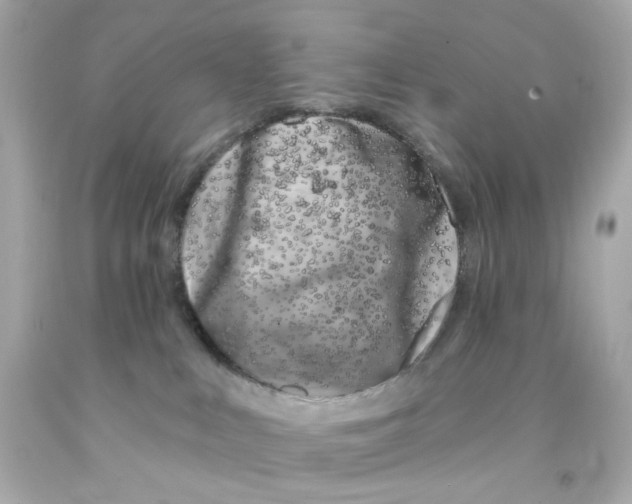 X0000093140043200710241351