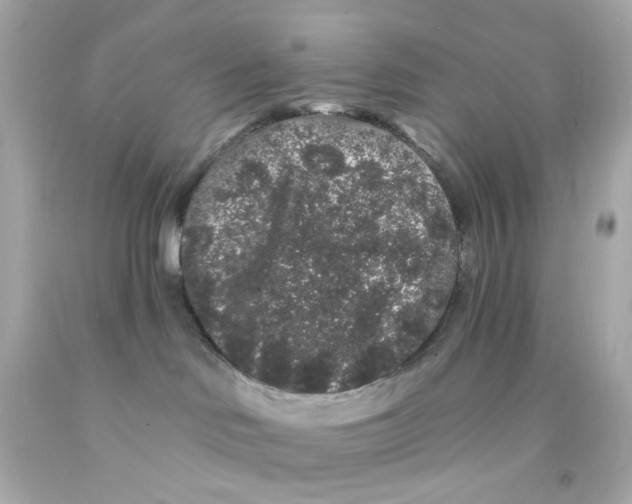 X0000093140046200710241351