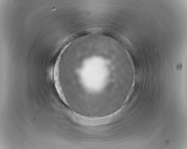 X0000093140047200710241351