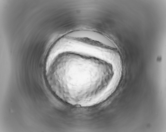 X0000093140049200710241350