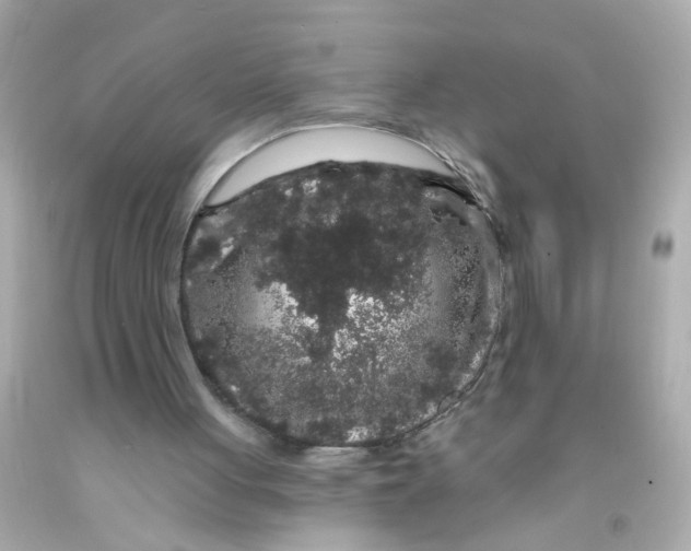 X0000093140051200710241350