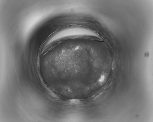 X0000093140052200710241350