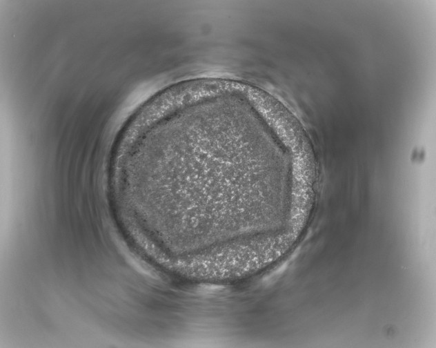 X0000093140055200710241350