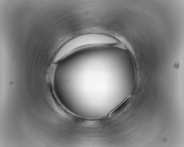 X0000093140057200710241350