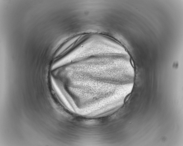 X0000093140058200710241350