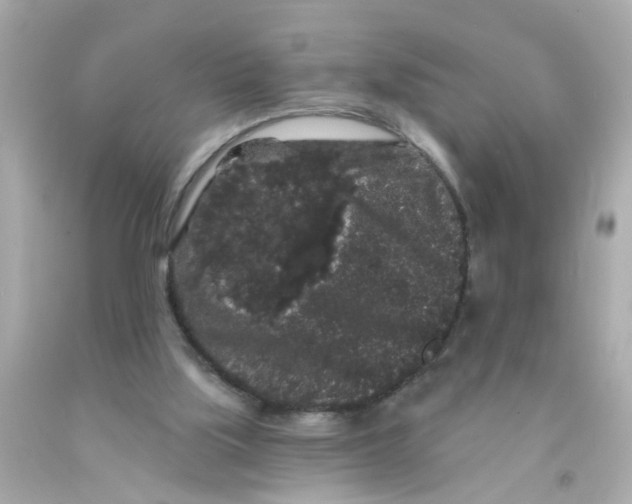 X0000093140059200710241350