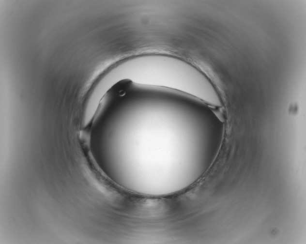 X0000093140060200710241351