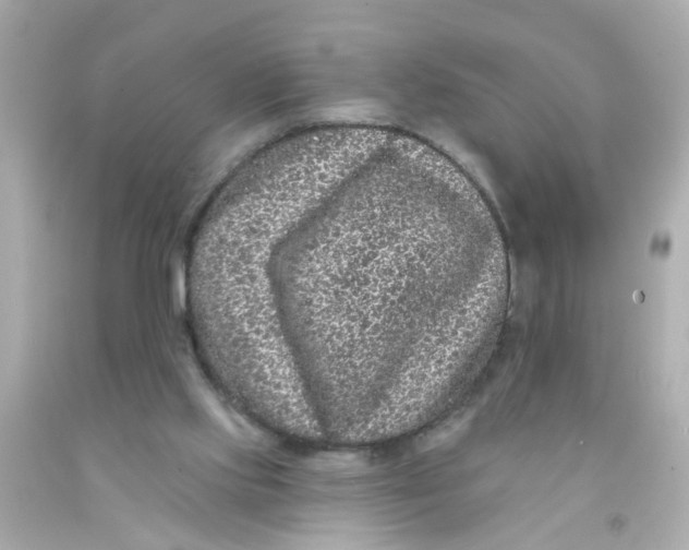 X0000093140061200710241351